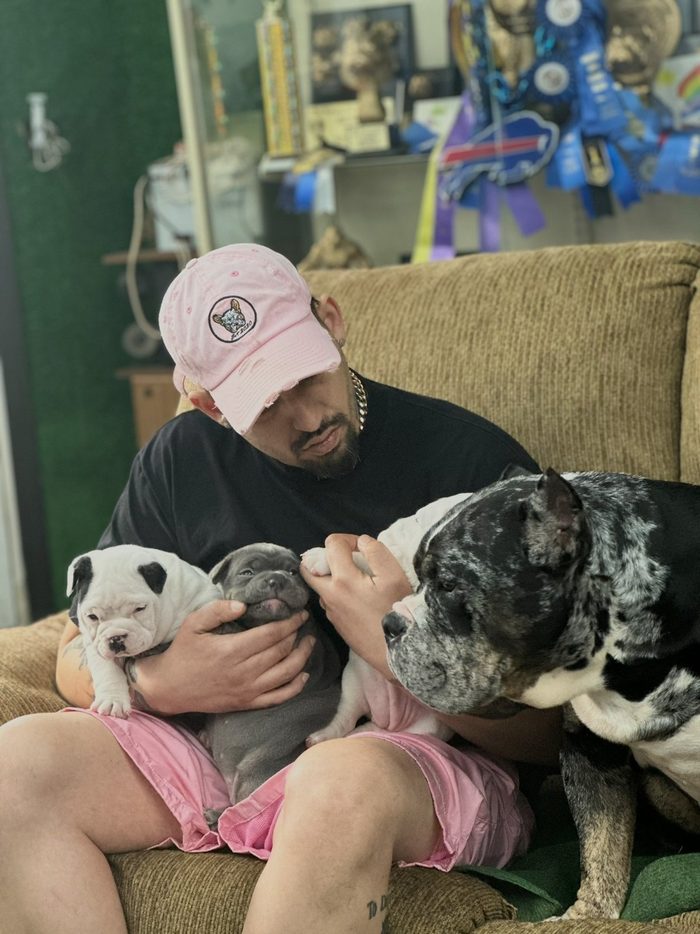 David Singh sits on a couch holding two young puppies while their merle dam leans in beside him.