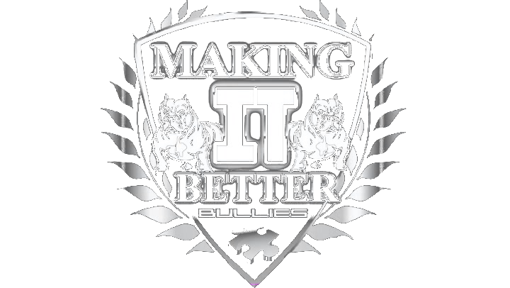 Making It Better Bullies